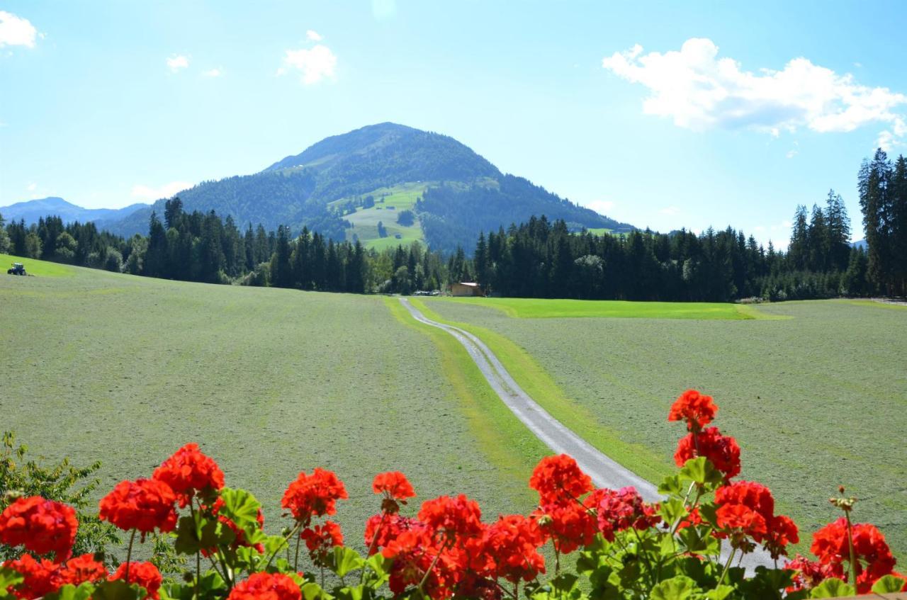 Villa Wötzinghof Kirchberg in Tirol Exterior foto