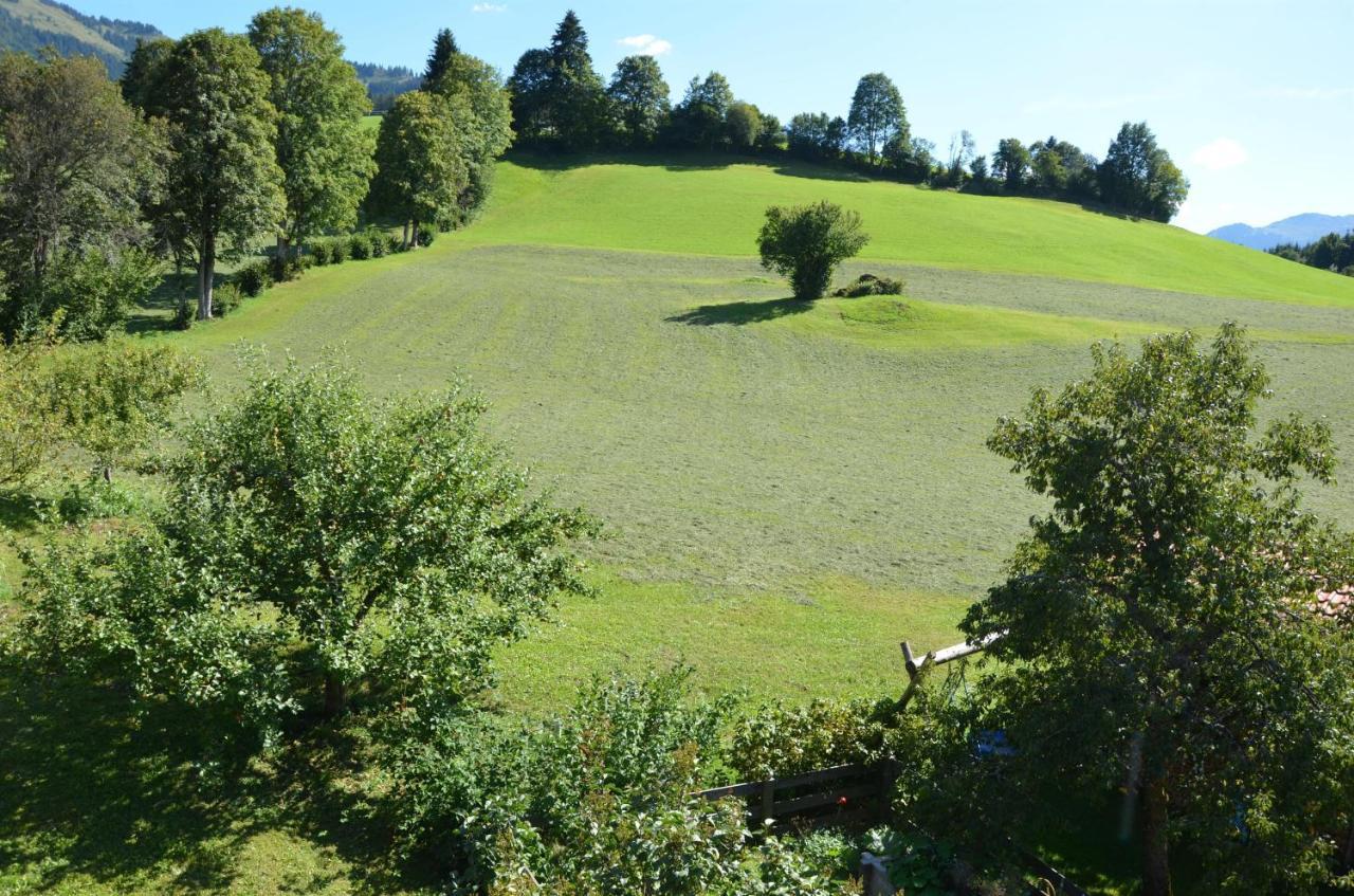 Villa Wötzinghof Kirchberg in Tirol Exterior foto