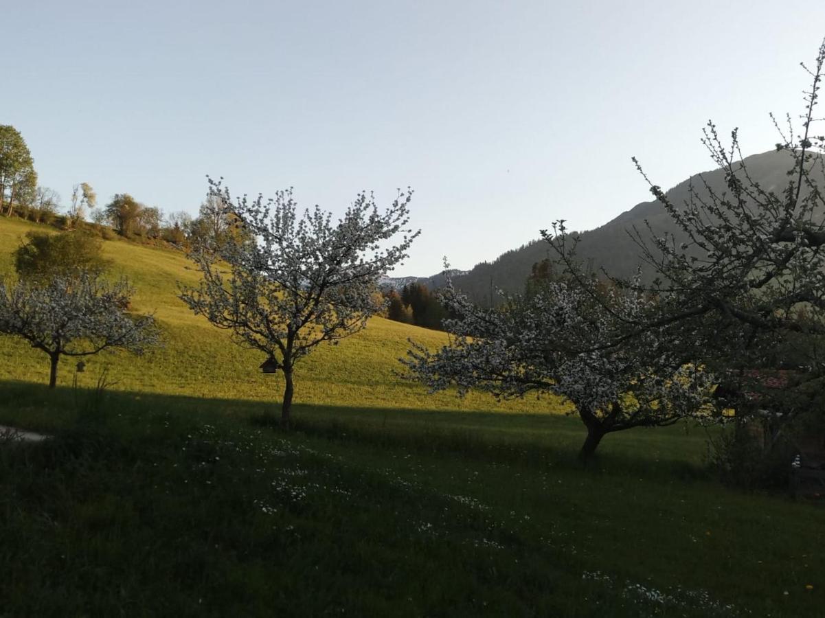 Villa Wötzinghof Kirchberg in Tirol Exterior foto