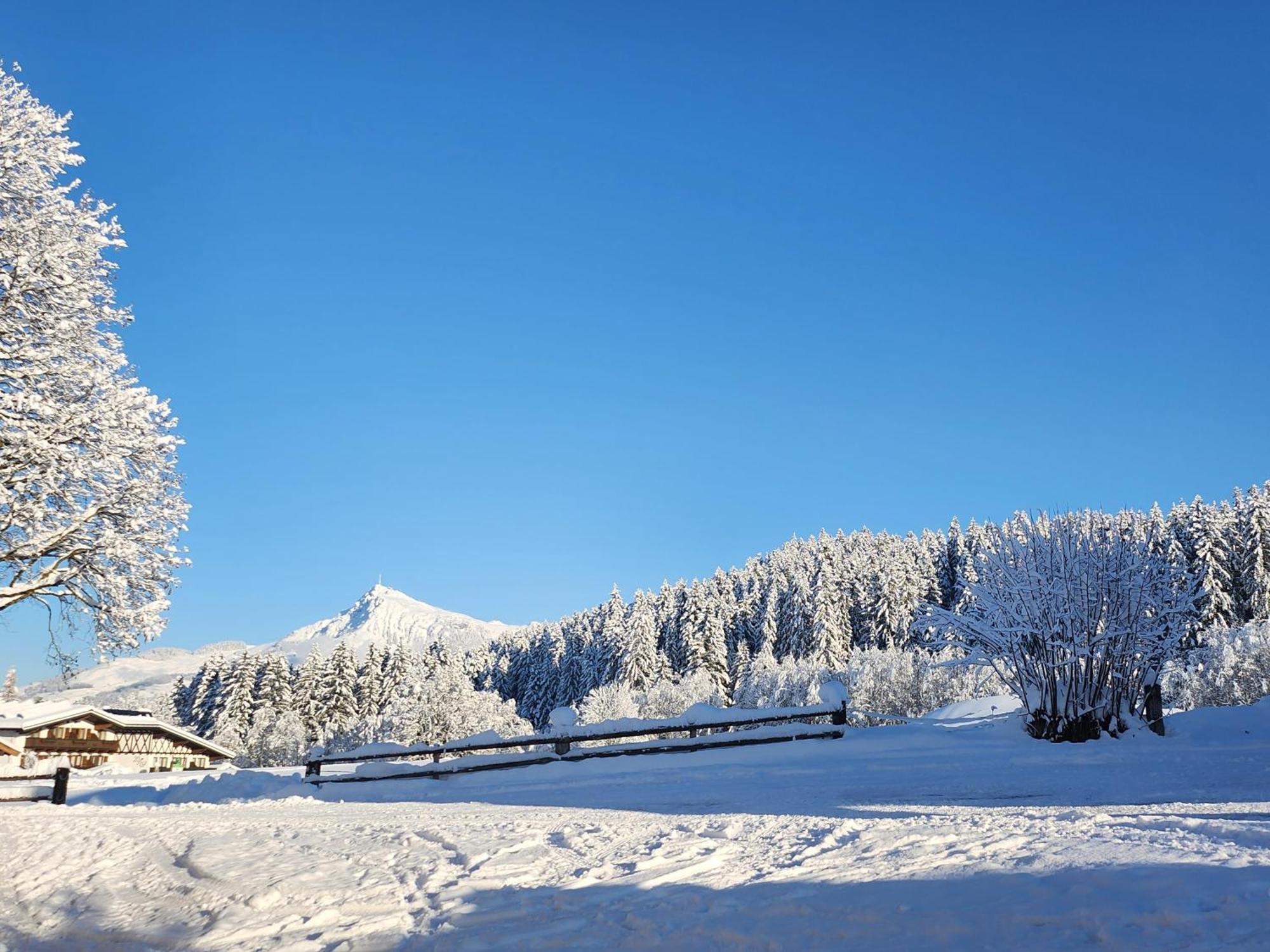 Villa Wötzinghof Kirchberg in Tirol Exterior foto