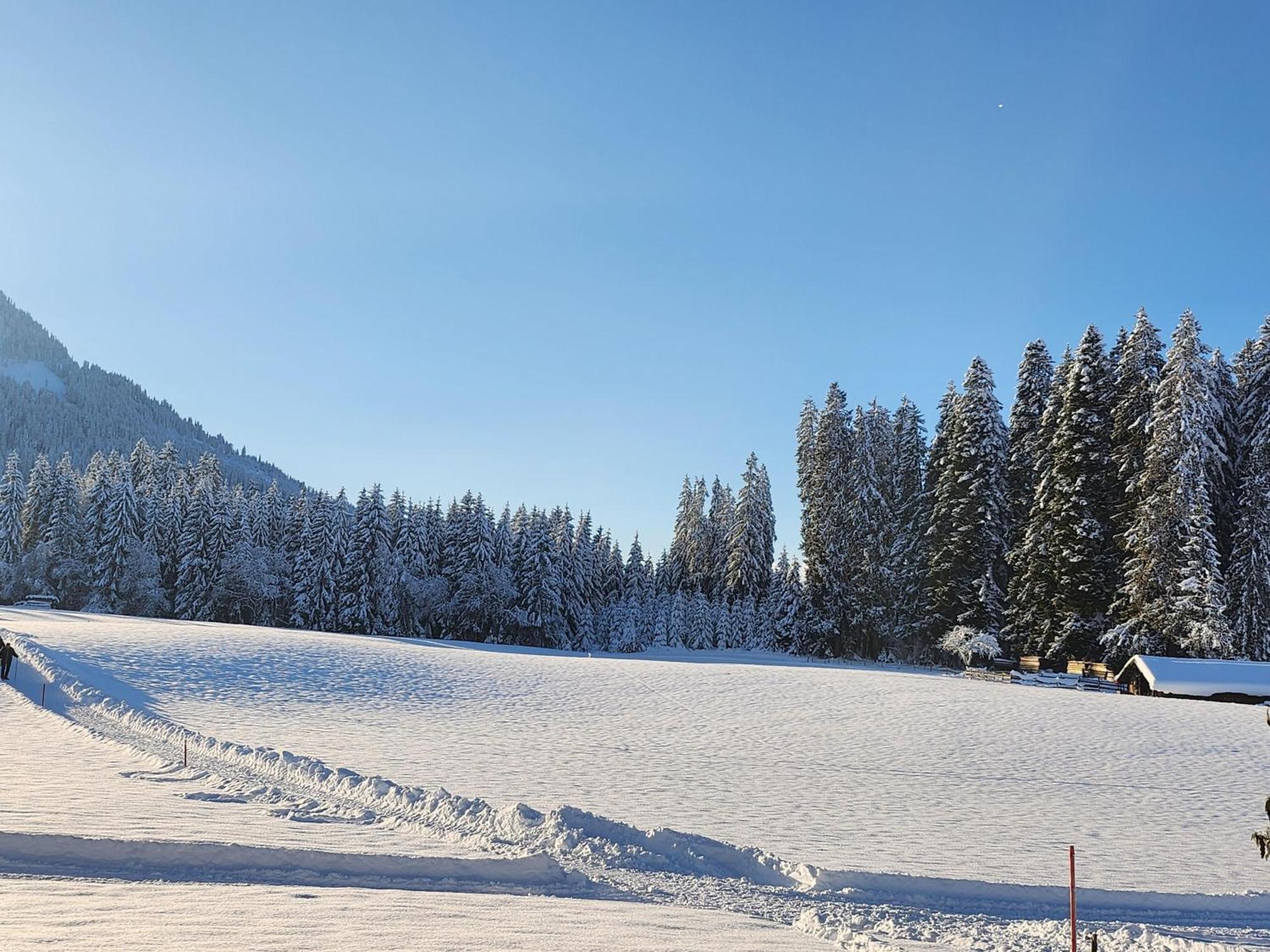 Villa Wötzinghof Kirchberg in Tirol Exterior foto