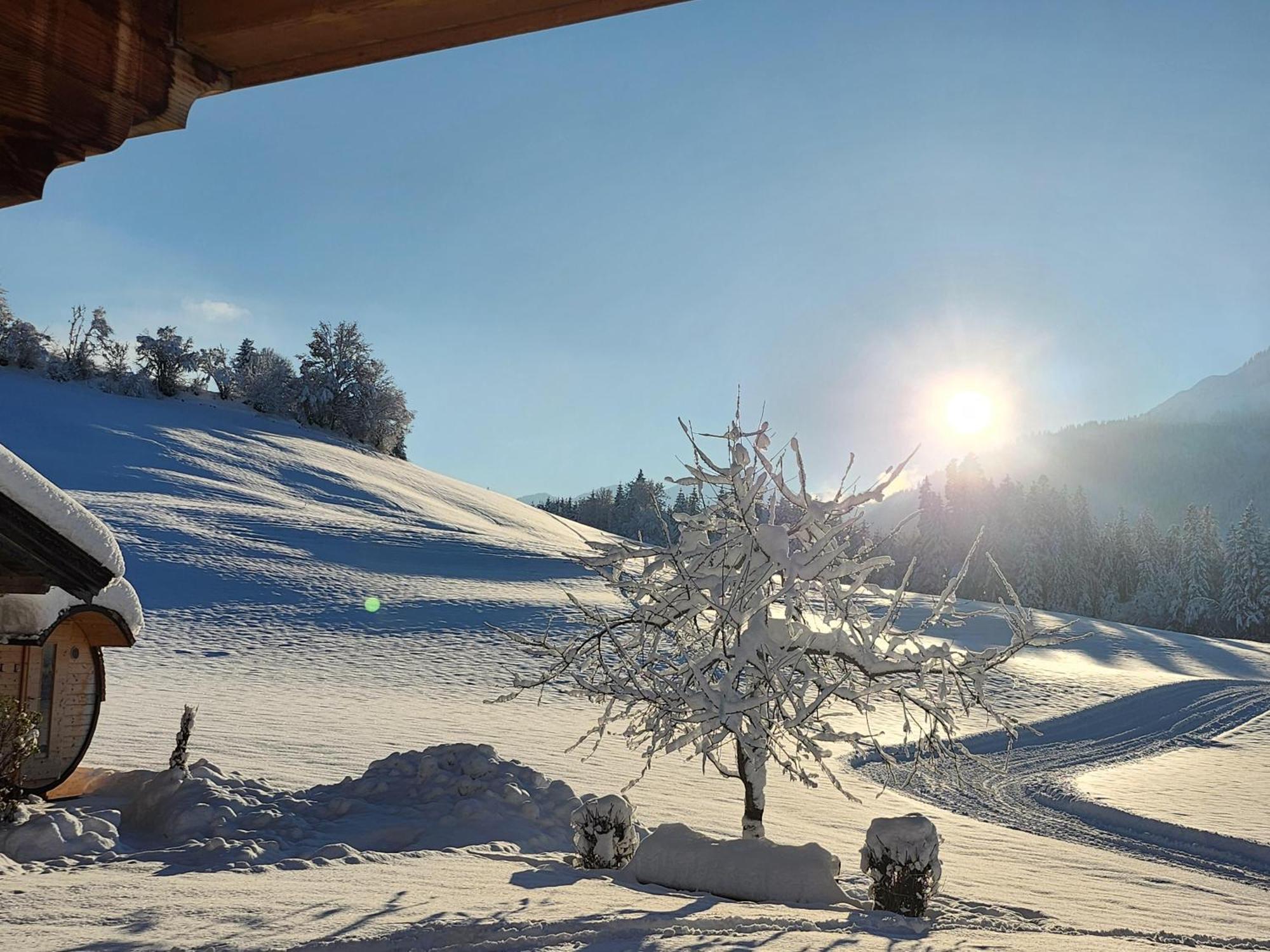 Villa Wötzinghof Kirchberg in Tirol Exterior foto