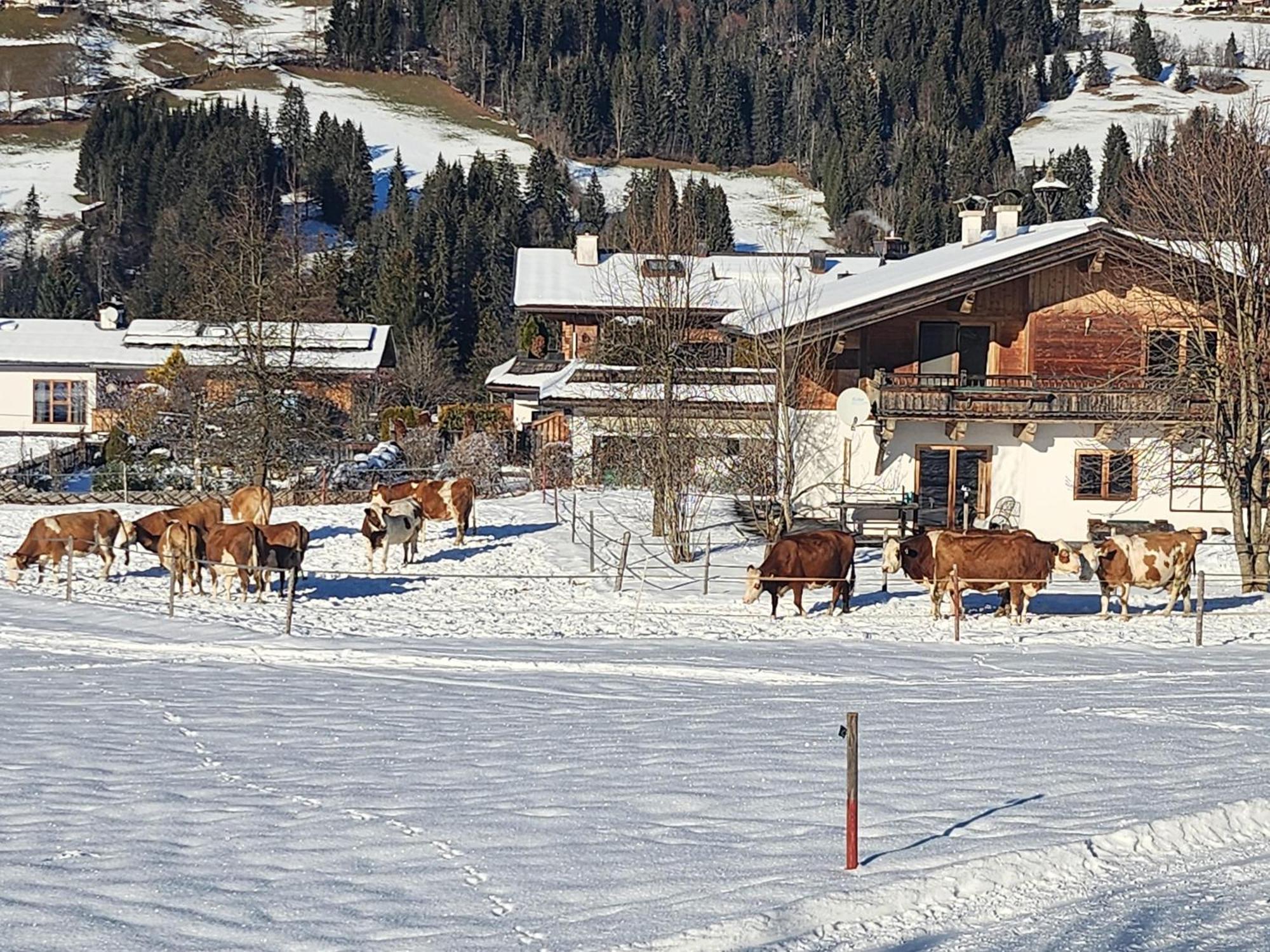 Villa Wötzinghof Kirchberg in Tirol Exterior foto